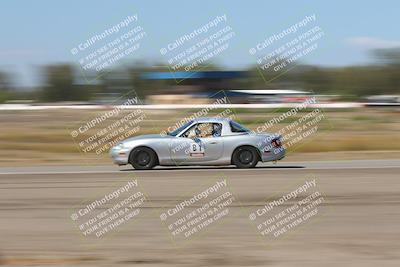 media/Oct-04-2025-OnGrid (Sat) [[44bd565ffa]]/Pink Group/Grapevine/